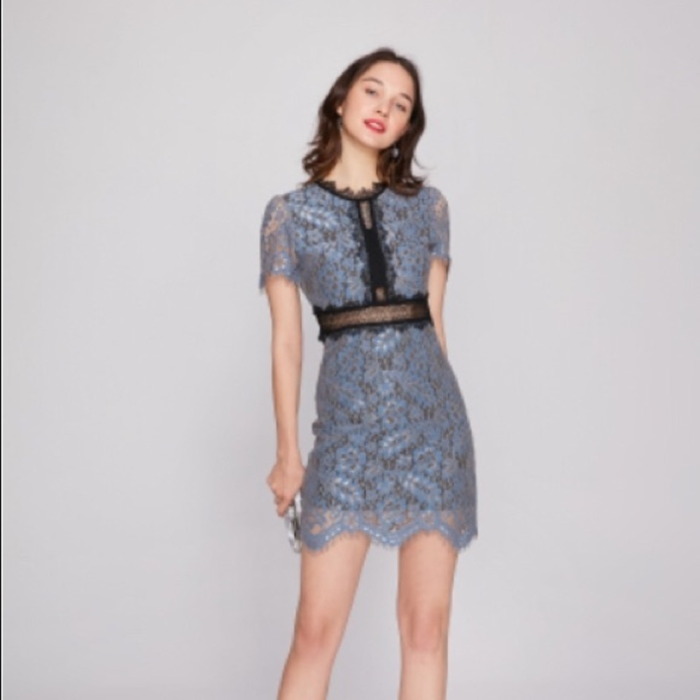 Lacey black, blue & gold Few Moda Body Con dress